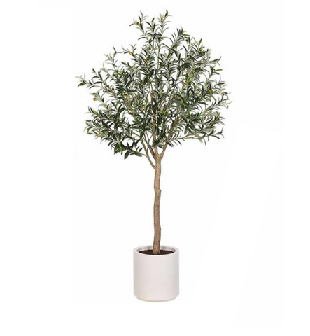 Faux Olive Tree 6.5'