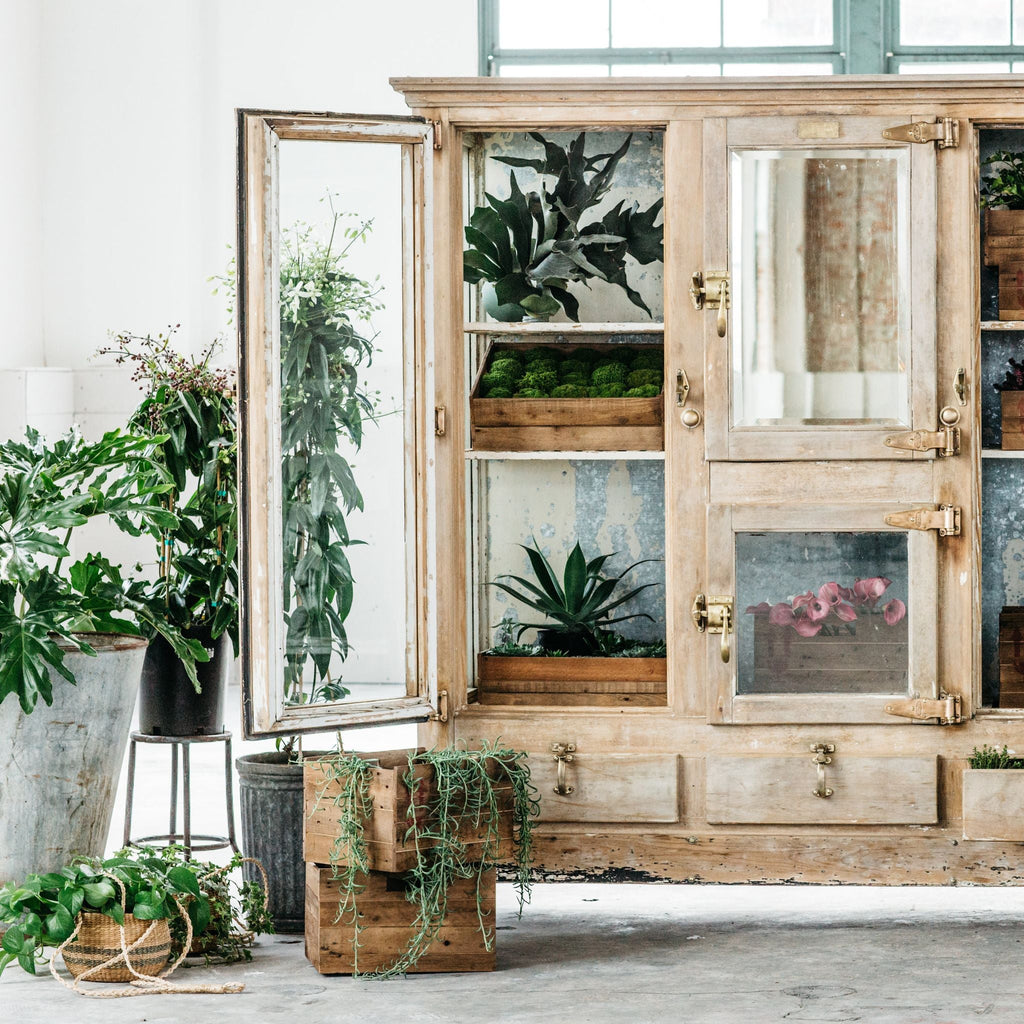 Antique Cold Store - Sage InteriorsSage Vintage