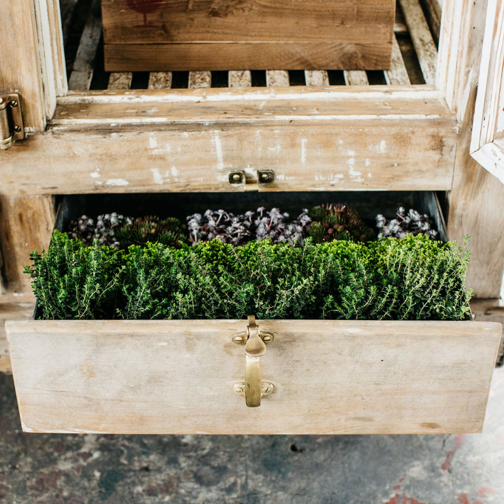 Antique Cold Store - Sage InteriorsSage Vintage