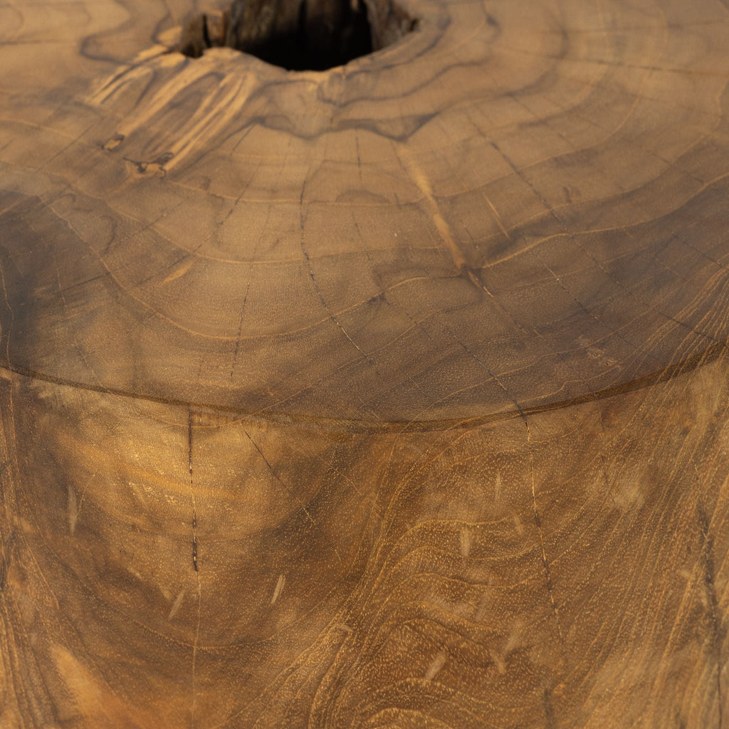 Balta Teak Root Stool - Sage InteriorsFHAccent Stool
