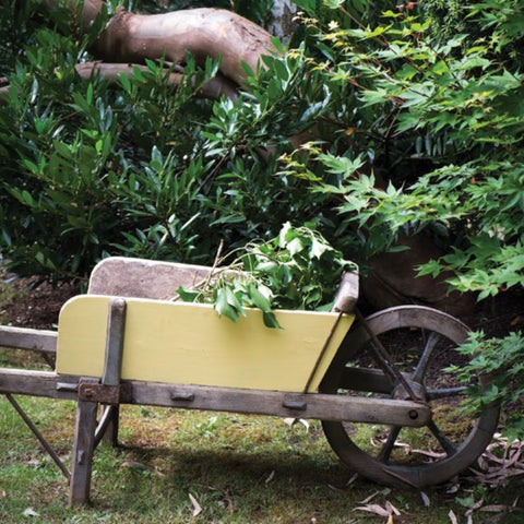 Dayroom Yellow No.233 - Sage InteriorsFarrow & BallPaint