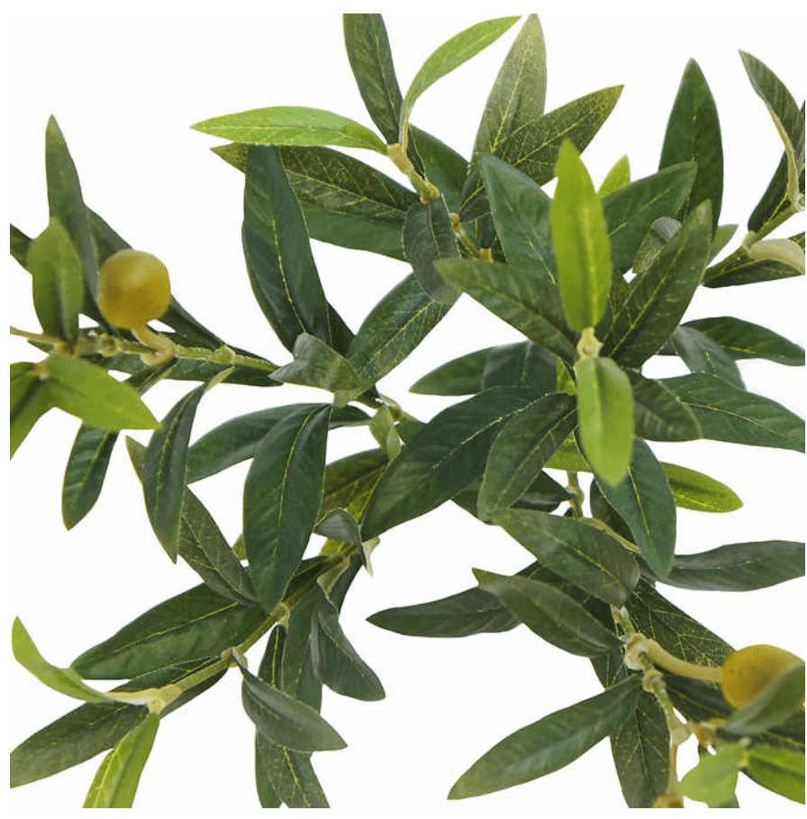 Faux Olive Tree 6.5' - Sage InteriorsSage Interiors
