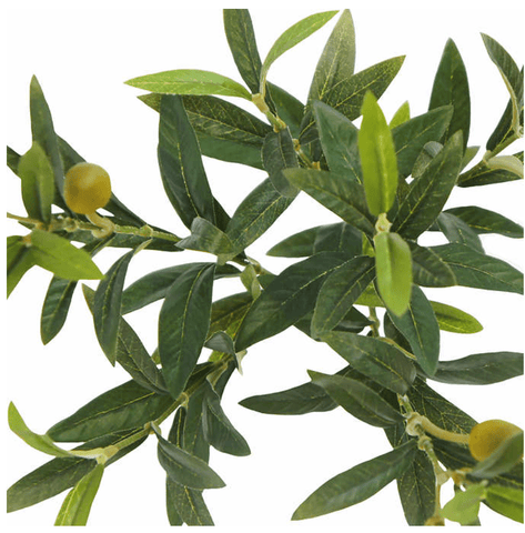 Faux Olive Tree 6.5' - Sage InteriorsSage Interiors
