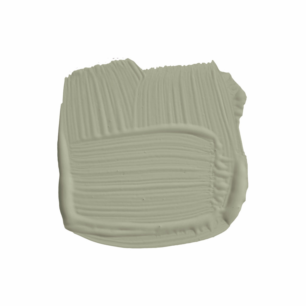 Lichen No.19 - Sage InteriorsFarrow & BallPaint