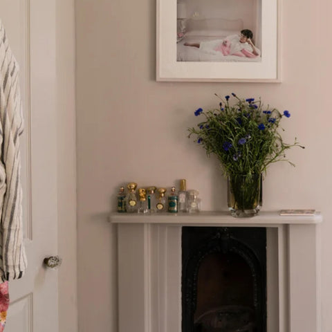 Peignoir No.286 - Sage InteriorsFarrow & BallPaint