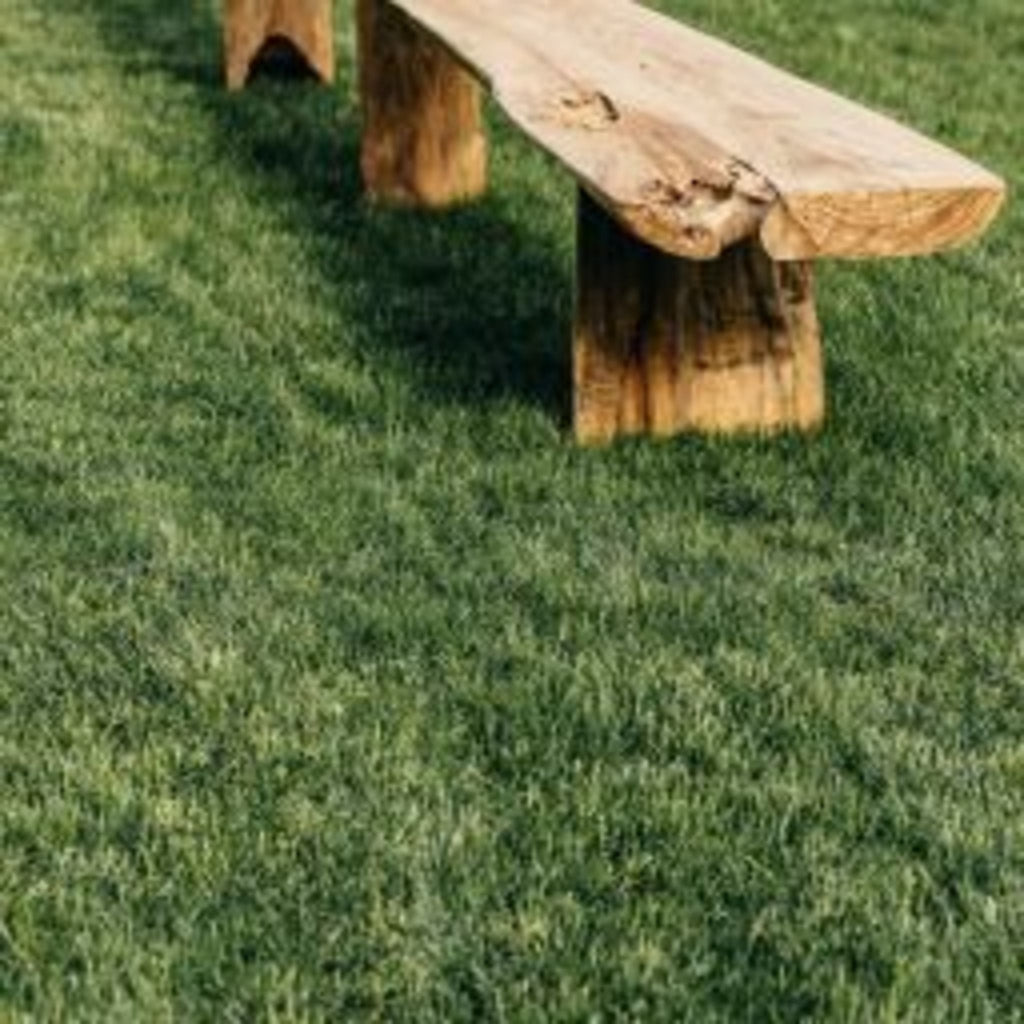 Perfect Past Time Bench - Sage InteriorsTREE
