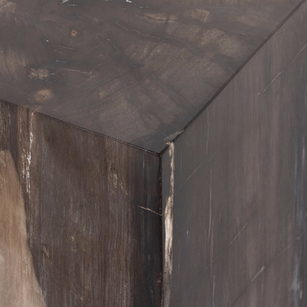 Petrified End Table II - Sage InteriorsFHEnd Table
