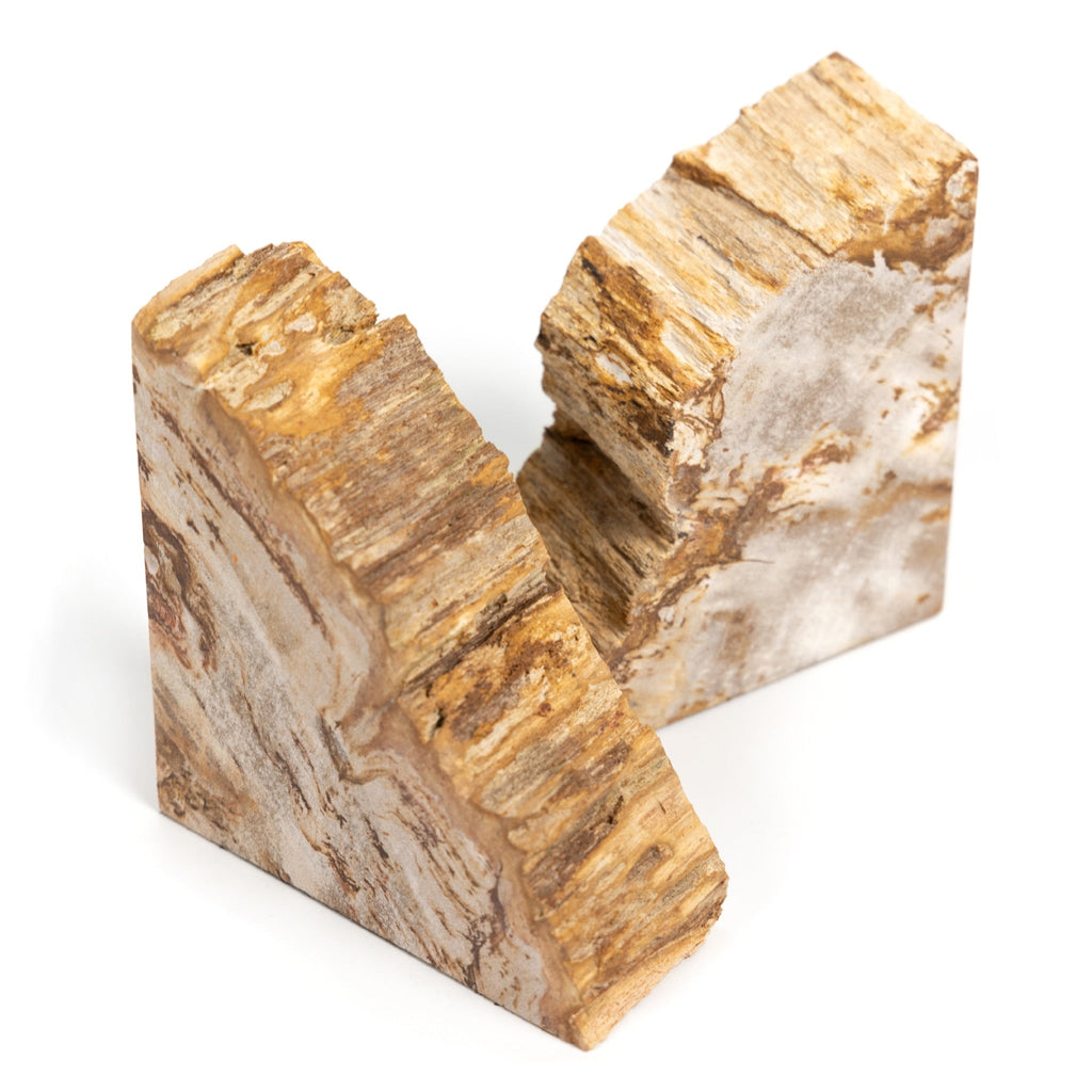 Petrified Wood Book Ends - Sage InteriorsFHDecor