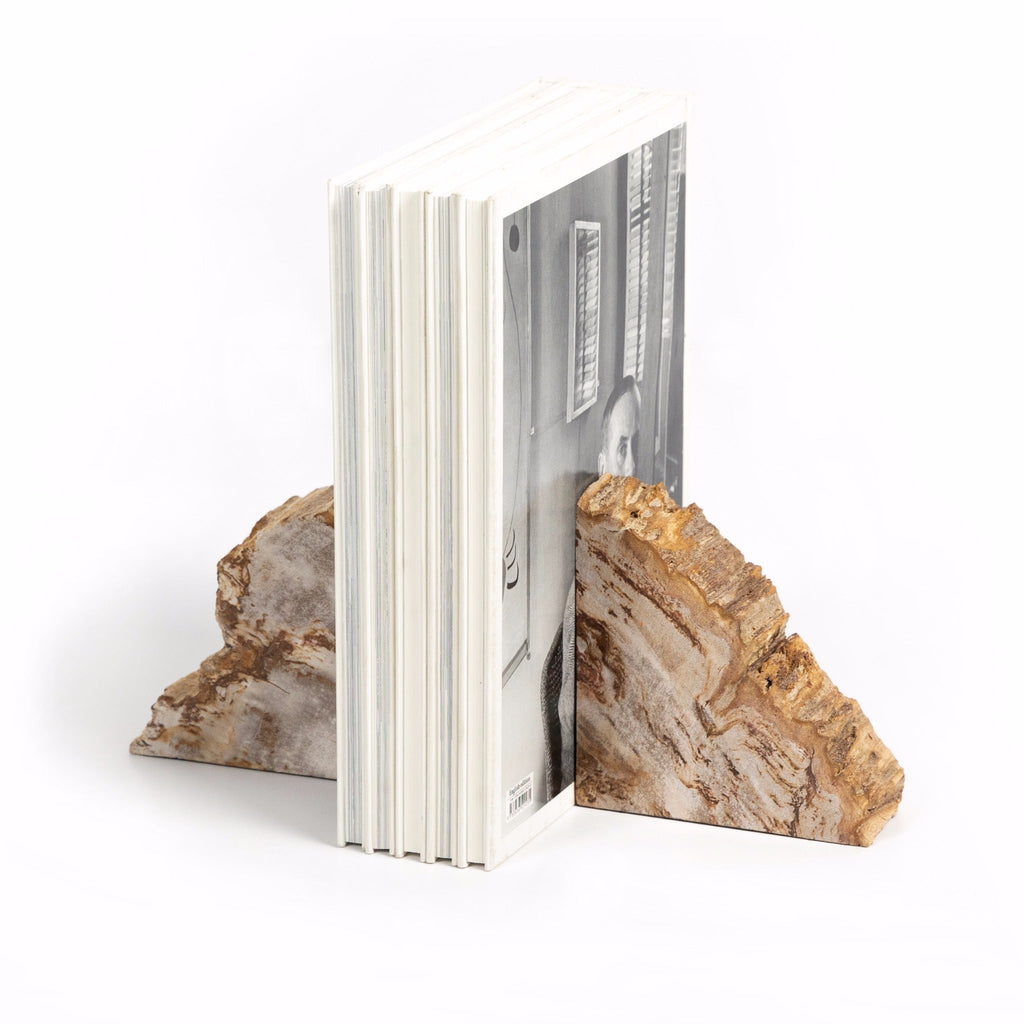 Petrified Wood Book Ends - Sage InteriorsFHDecor