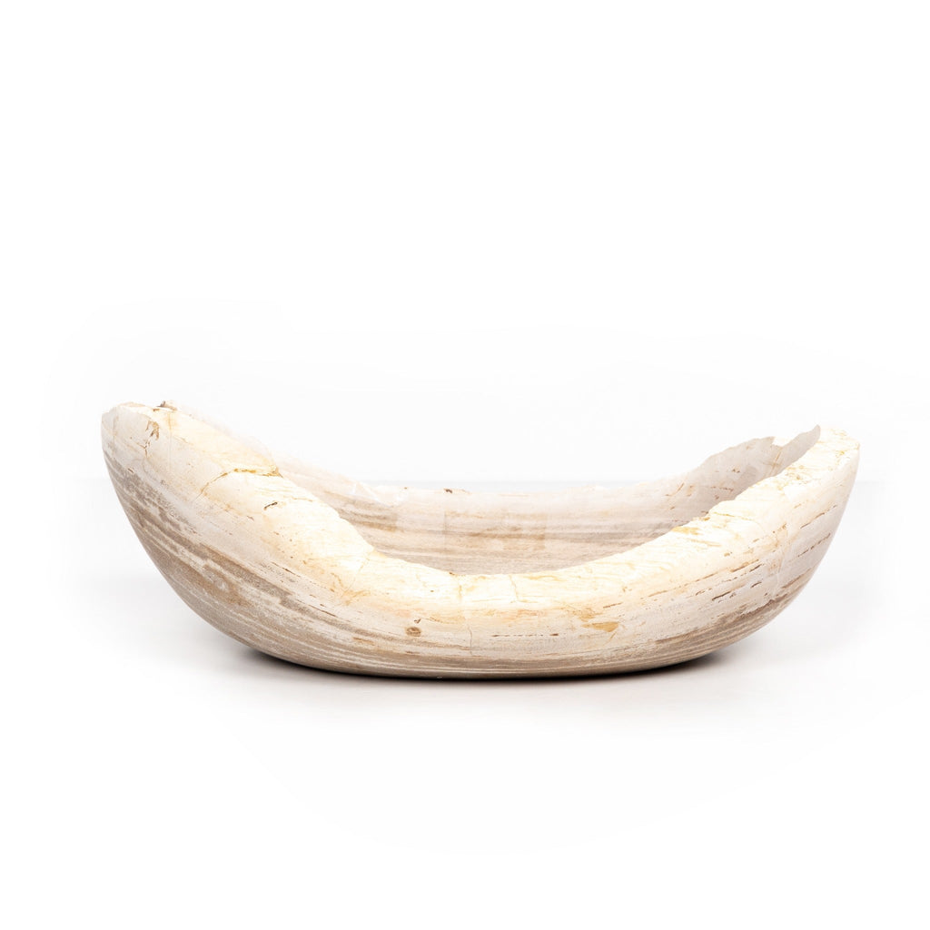 Petrified Wood Bowl - Sage InteriorsFHDecor