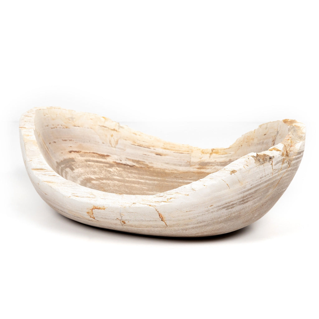Petrified Wood Bowl - Sage InteriorsFHDecor