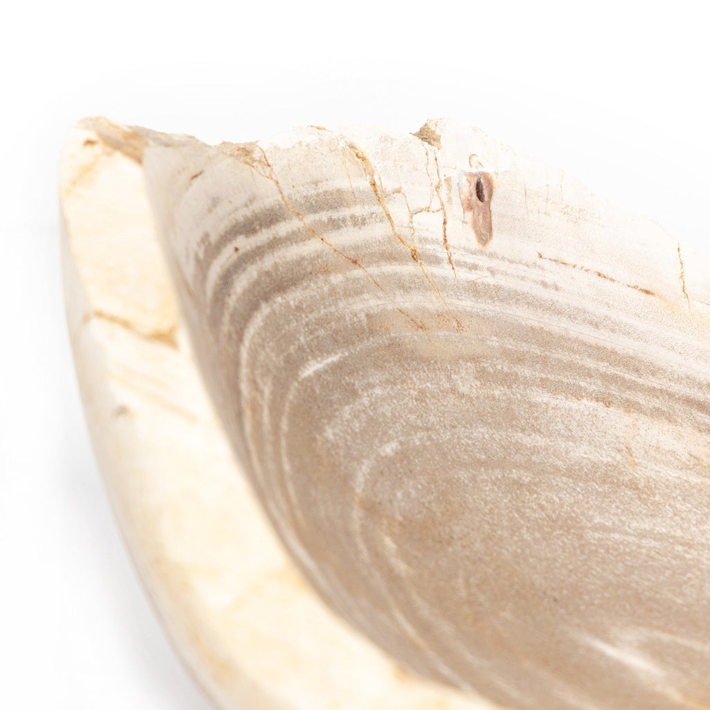 Petrified Wood Bowl - Sage InteriorsFHDecor