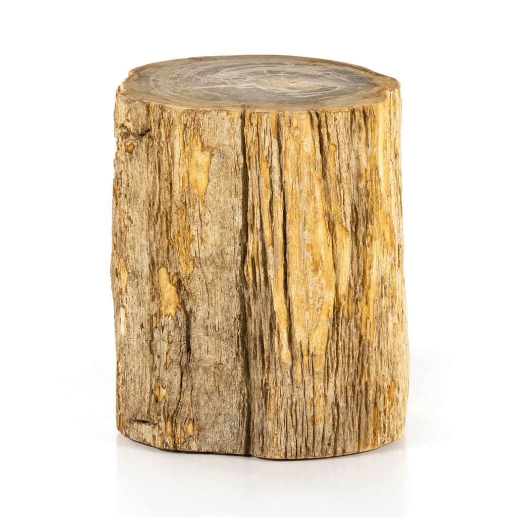Petrified Wood End Table III - Sage InteriorsFH