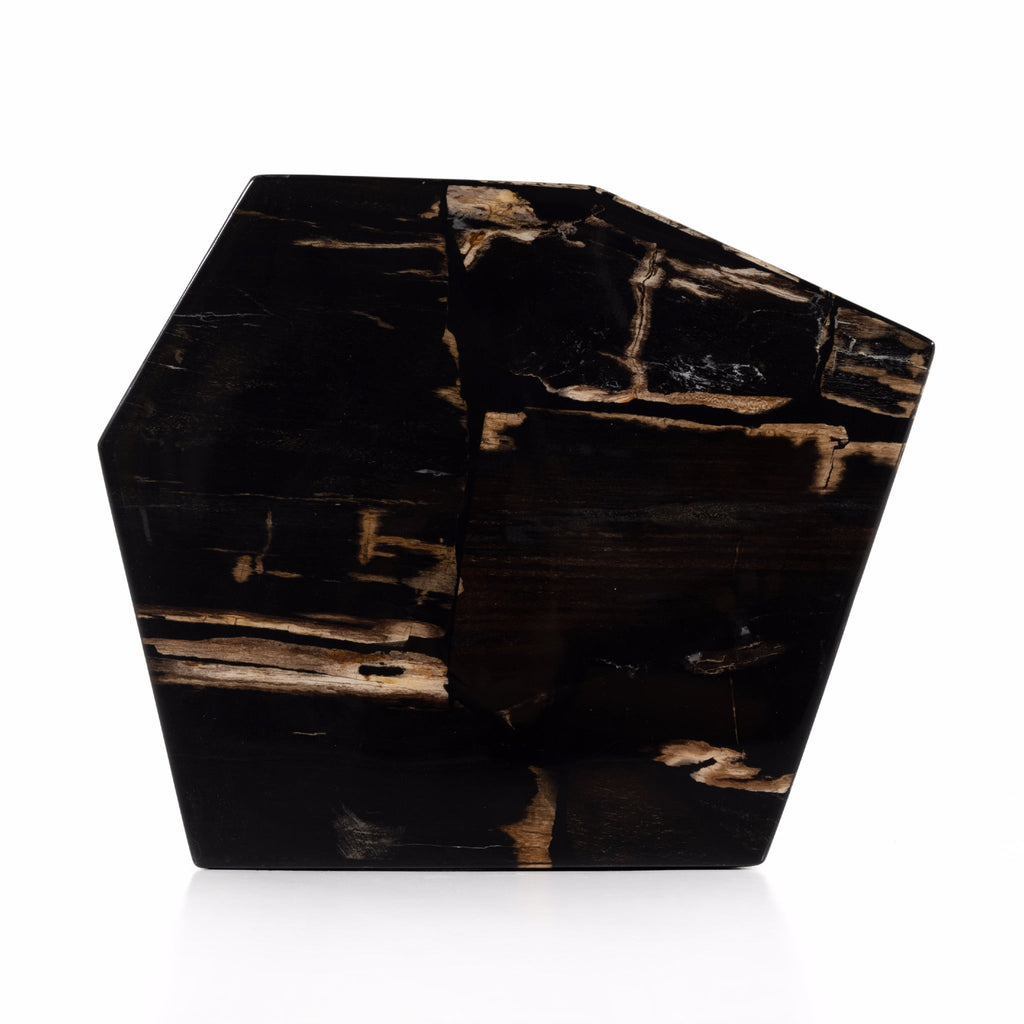 Petrified Wood End Table IV - Sage InteriorsFHEnd Table