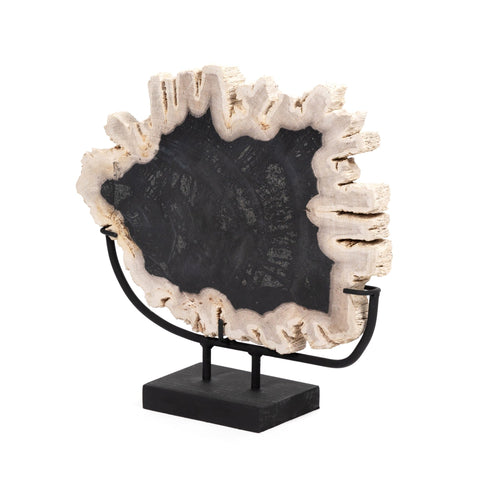 Petrified Wood Sculpture - Sage InteriorsFHDecor
