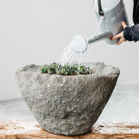 Good Pot