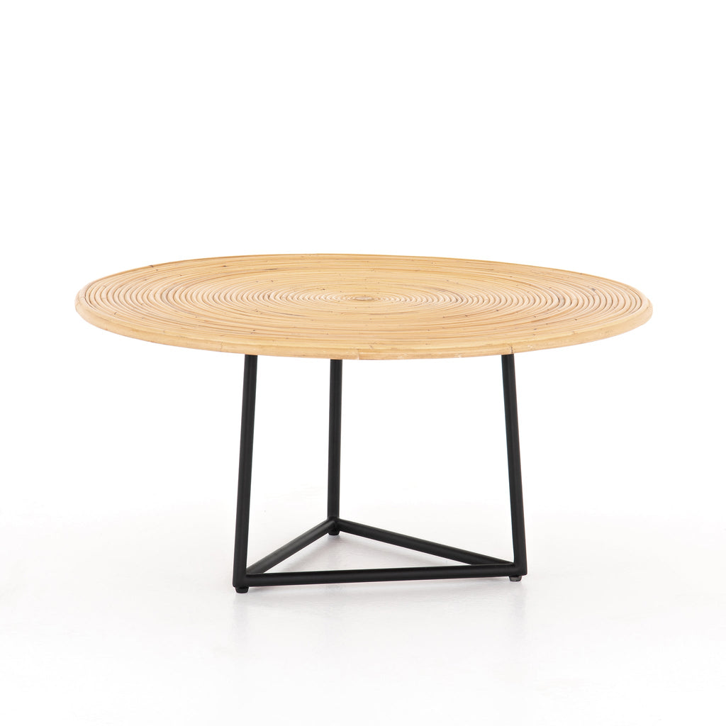 Seedling Coffee Table - Sage InteriorsFH