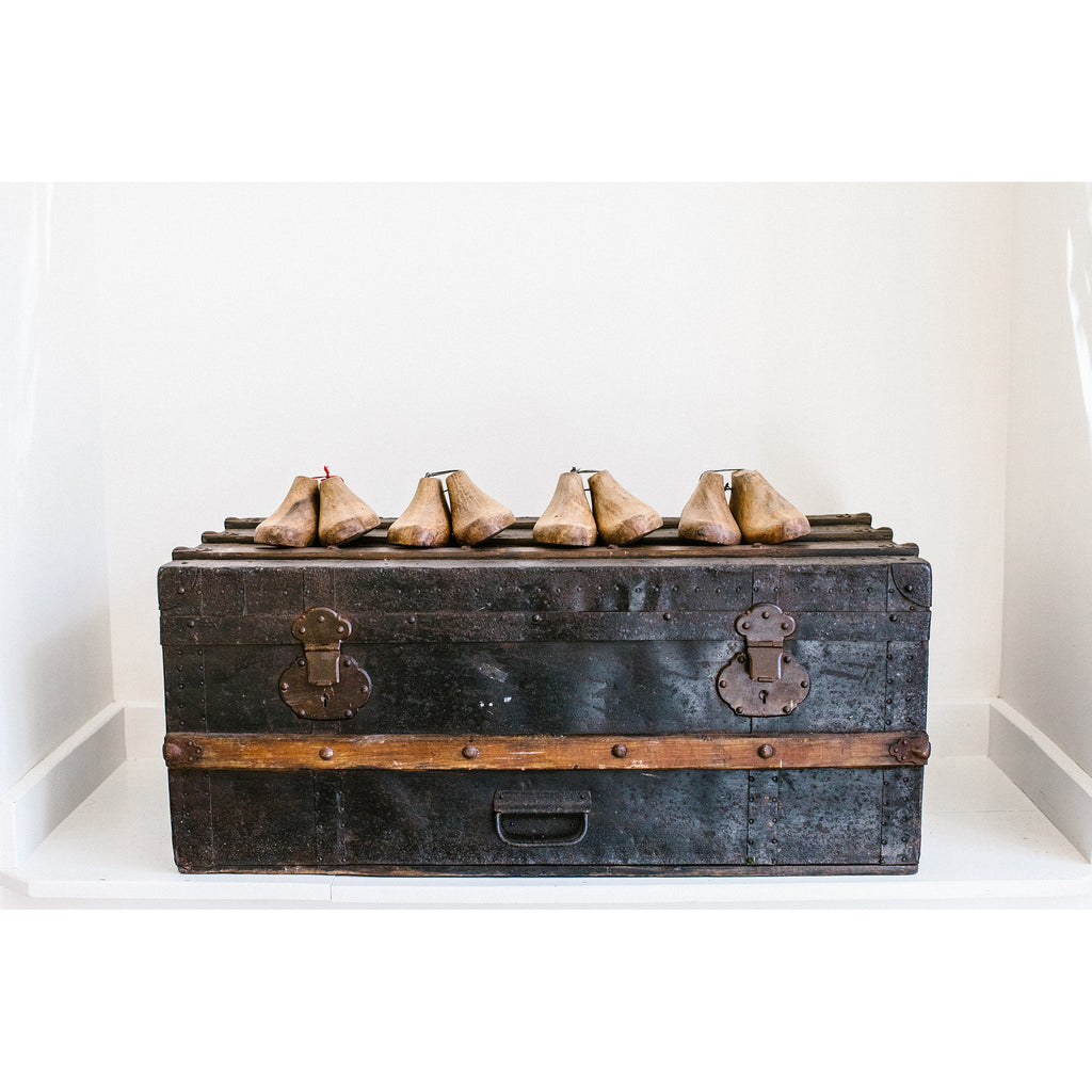 Vintage Trunks - Sage InteriorsTREE