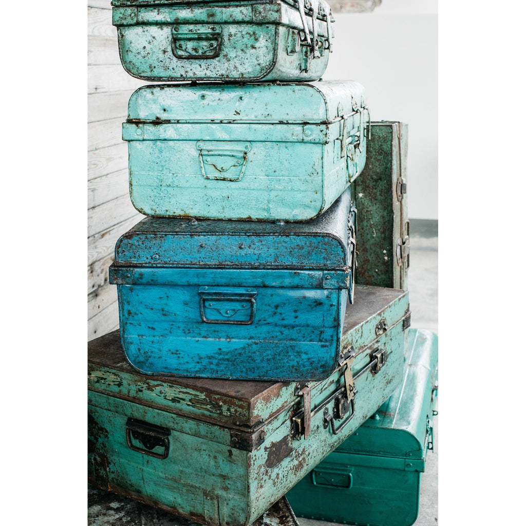 Vintage Trunks - Sage InteriorsTREE