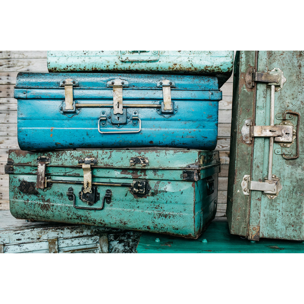 Vintage Trunks - Sage InteriorsTREE