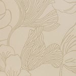 Helleborus Wallpaper