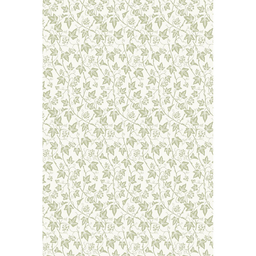 Ivy Wallpaper