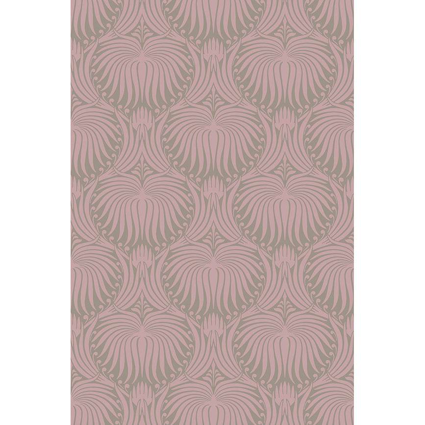 Lotus Wallpaper