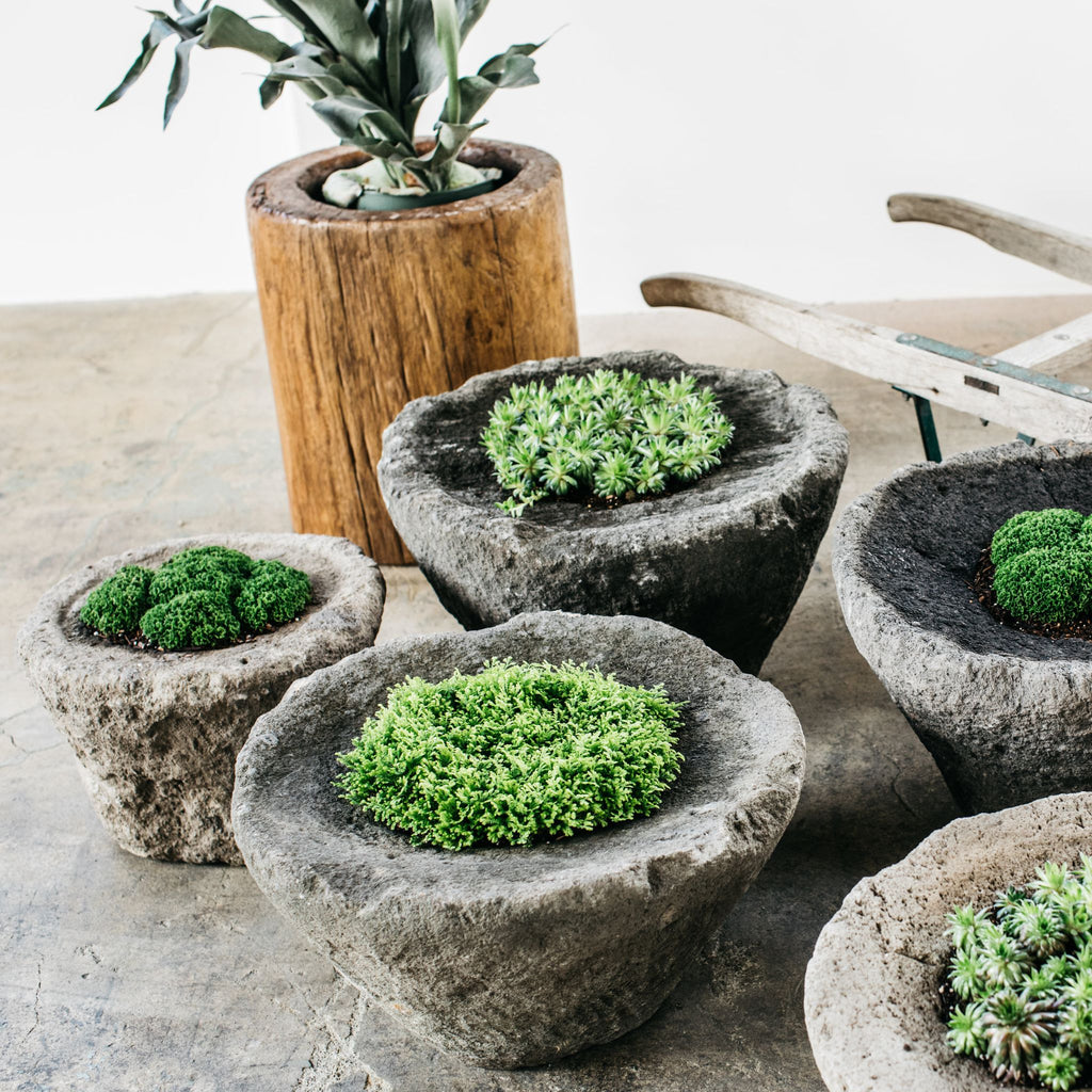 Good Pot