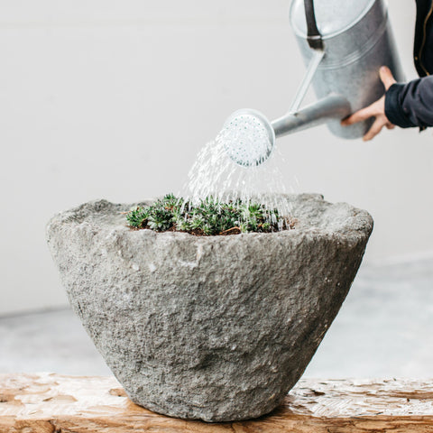 Good Pot